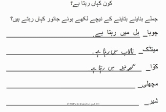 Urdu Term 1 - Lesson 13 